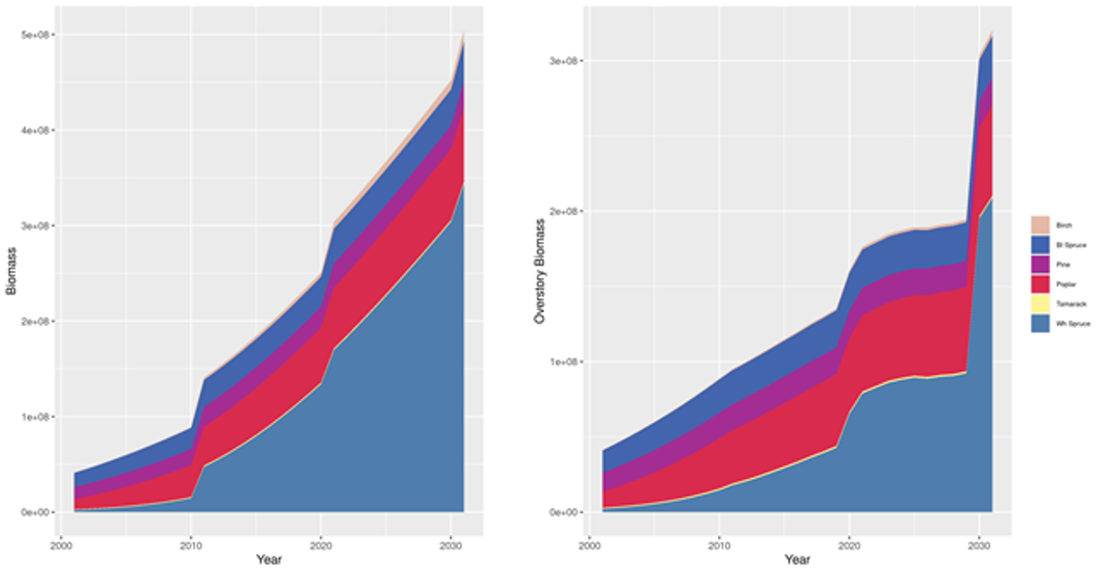 Thirty years of simulation with `maxB` values estimated from a `logB ~ ...` `biomassModel` (see Fig. \@ref(fig:fig-biomassModelLogBtest)). The steep increase in such little time is abnormal.